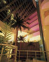 Maritim Pine Beach Resort 